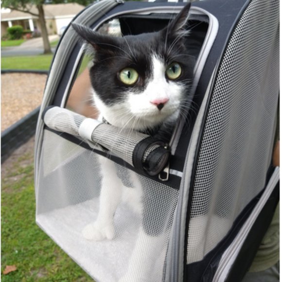 Two fully ventilated small animal pet carrier - His and Hers (Set) - Picture 9 of 11